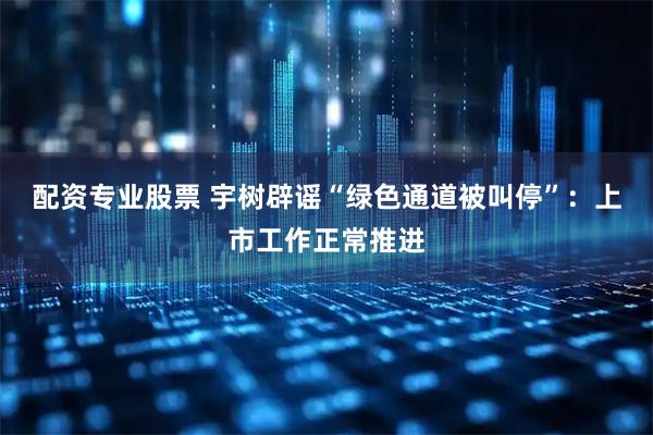 配资专业股票 宇树辟谣“绿色通道被叫停”:上市工作正常推进